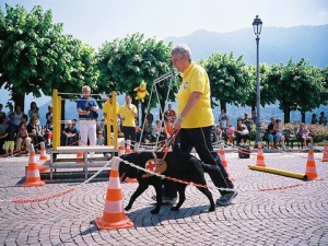 clubdelcaneistruireeducare